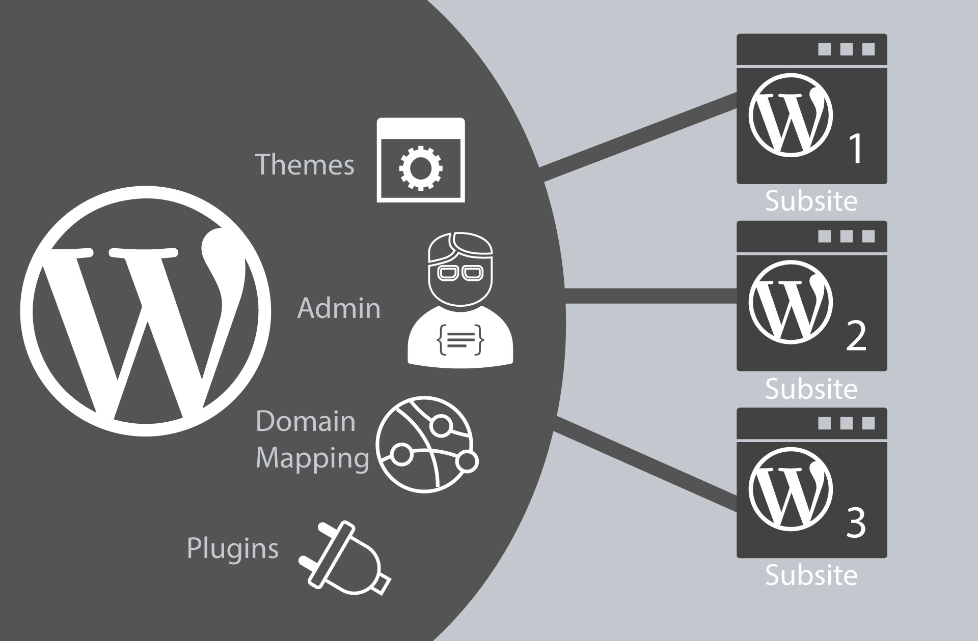Administrarea multi-site-urilor WordPress